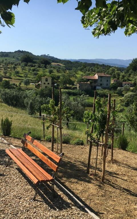 Bello Stare: Buitenkanten, Buitenshuis
