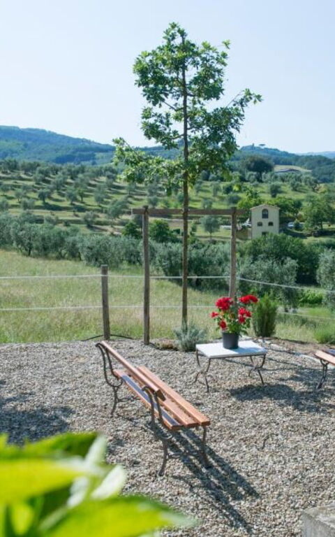 Bello Stare: Buitenkanten, Buitenshuis