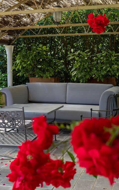 Bello Stare: Buitenshuis, Tuin