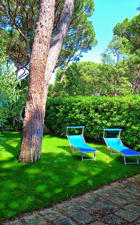 Le Dune: Buitenkanten, Buitenshuis