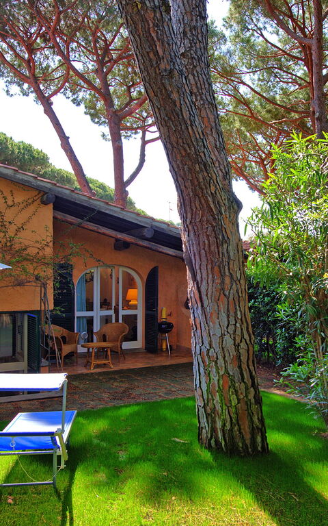 Le Dune: Buitenkanten, Buitenshuis