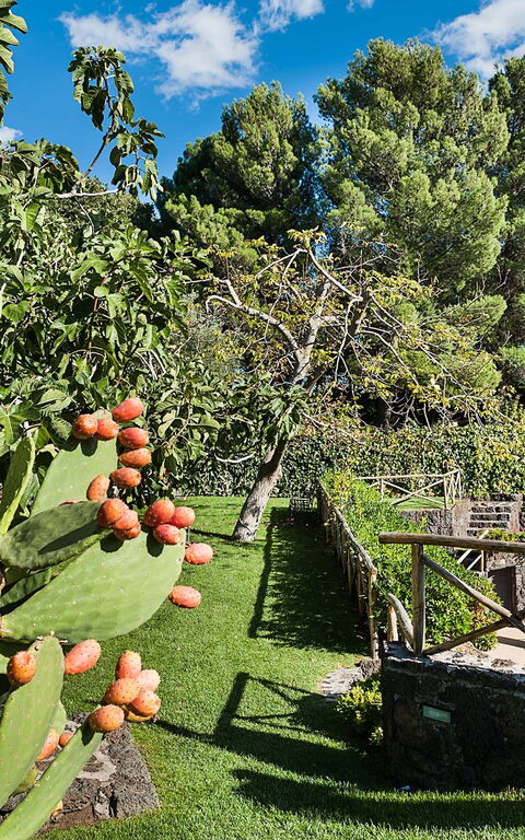 Villa Montefiore: Tuin