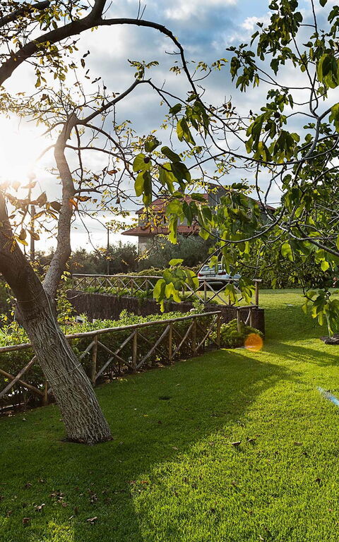 Villa Montefiore: Tuin