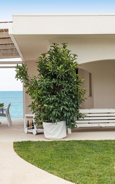 Villa Hermes: Buitenkanten, Buitenshuis, zwembad