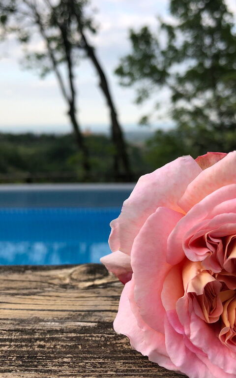 La Nocciola: Buitenshuis, zwembad