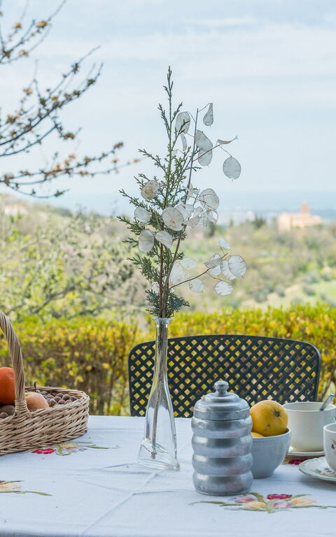 La Nocciola: Keer bekeken