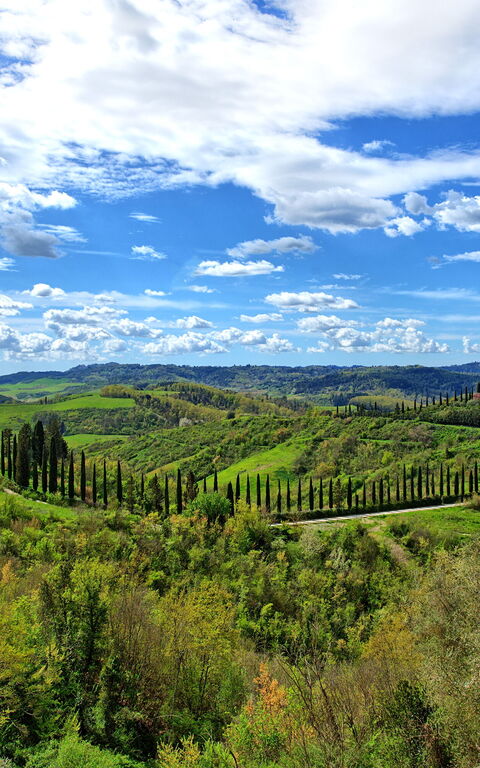 Santo Stefano: Keer bekeken