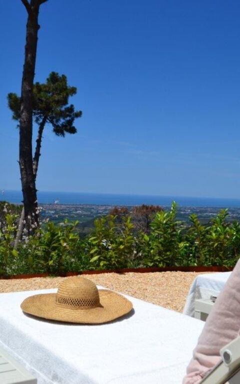 Casarosa Di Mariasole: Buitenshuis, Zomer