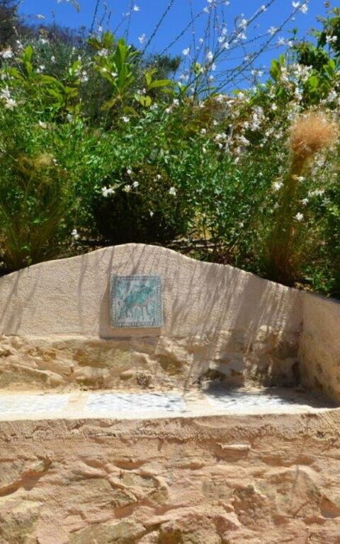 Casarosa Di Mariasole: Buitenshuis, Zomer