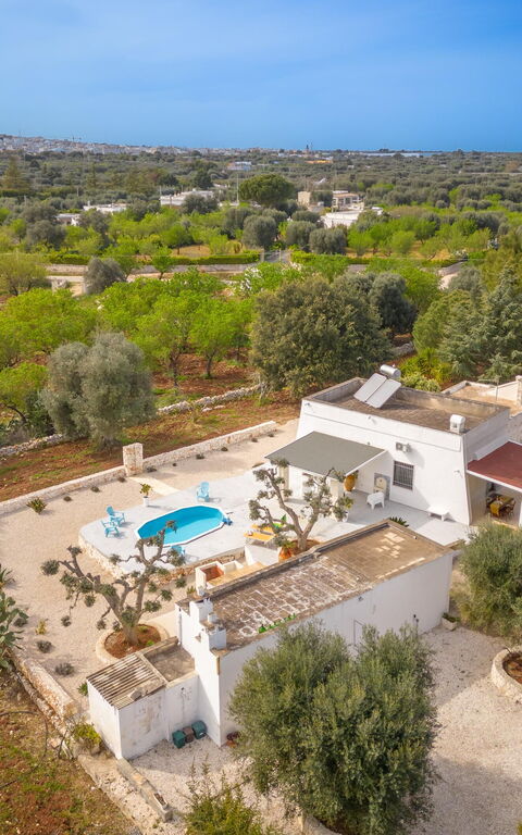 Villa Narkive: Buitenkanten, Tuin