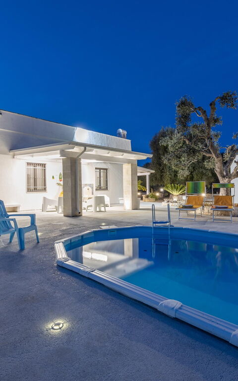 Villa Narkive: zwembad