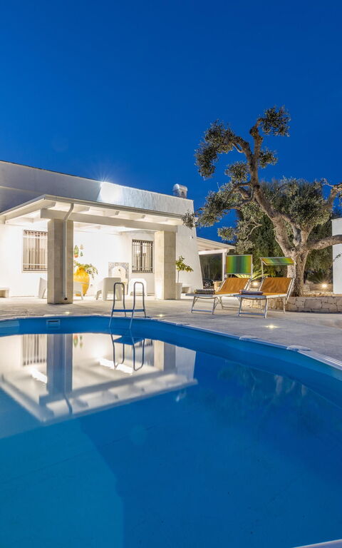 Villa Narkive: zwembad