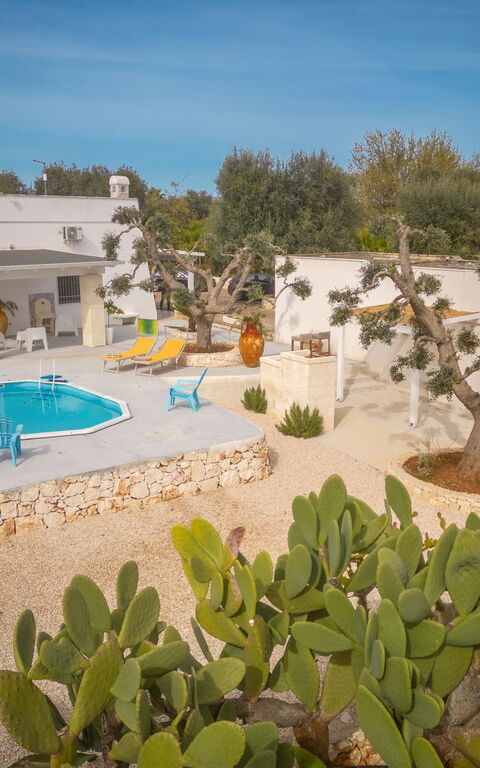 Villa Narkive: Buitenshuis, Hoofdingang, Tuin