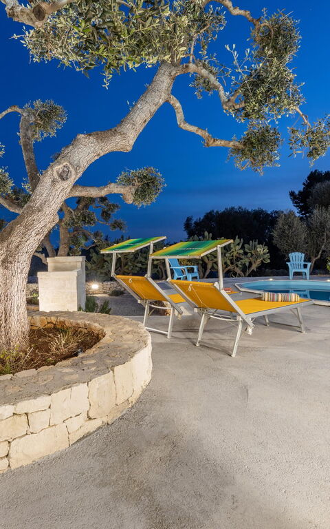 Villa Narkive: Keer bekeken, zwembad