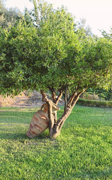 Villa Malu: Buitenkanten, Buitenshuis, Tuin