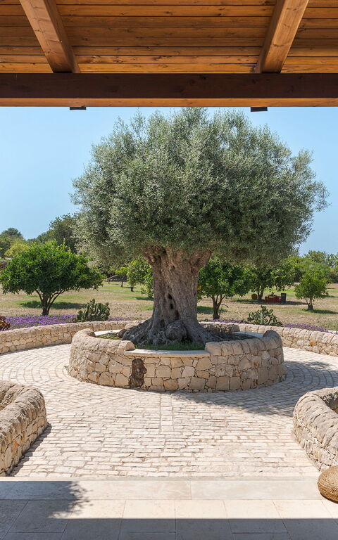 Pigna Blue: Buitenkanten, Buitenshuis