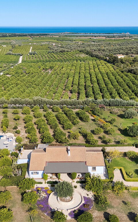 Pigna Blue: Keer bekeken, zwembad