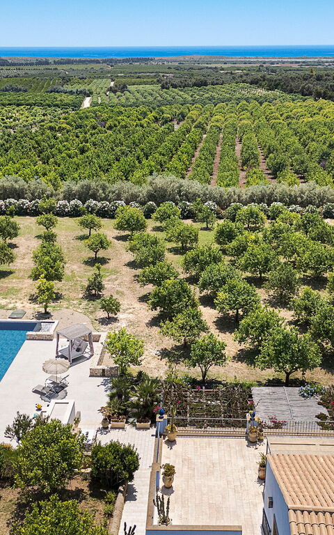 Pigna Blue: Keer bekeken, zwembad