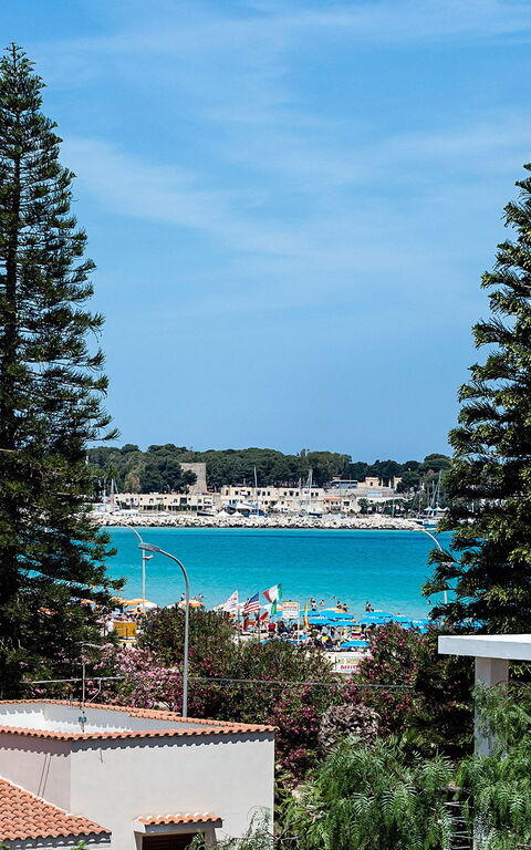 Spuma Di Mare: Buitenkanten, Buitenshuis, Keer bekeken, Zomer
