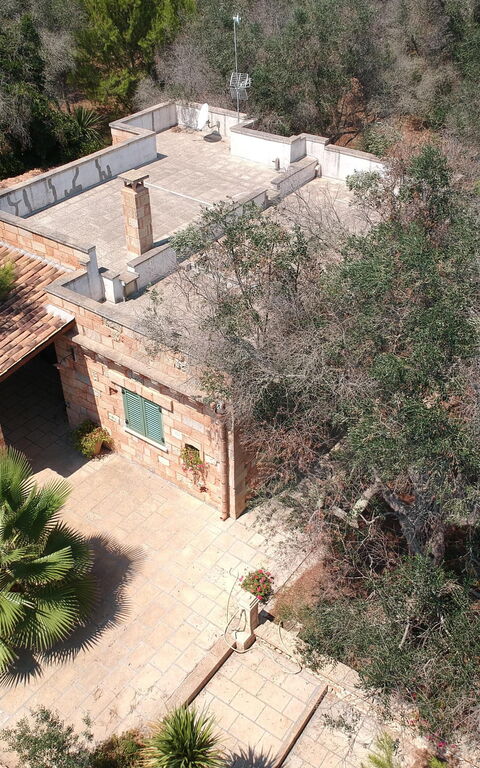 Villa Astrea: Buitenshuis, Tuin