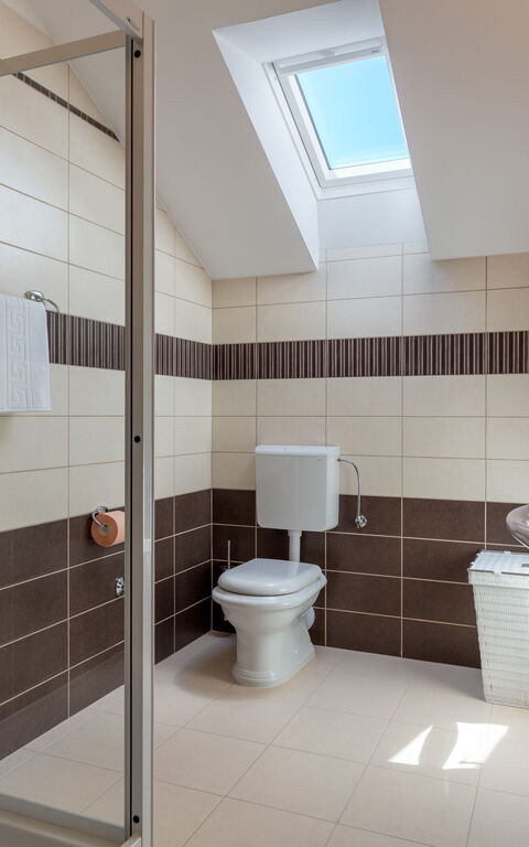 Villa Roglic: Badkamer