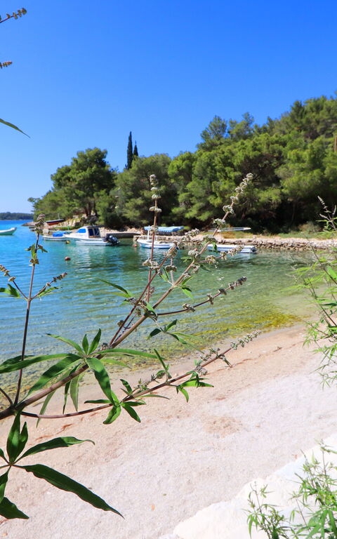 Villa Emerald: Activiteiten, Keer bekeken