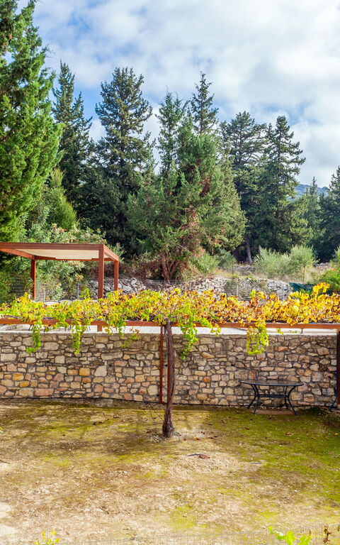 Villa Giorgos: Buitenkanten, Buitenshuis, Tuin