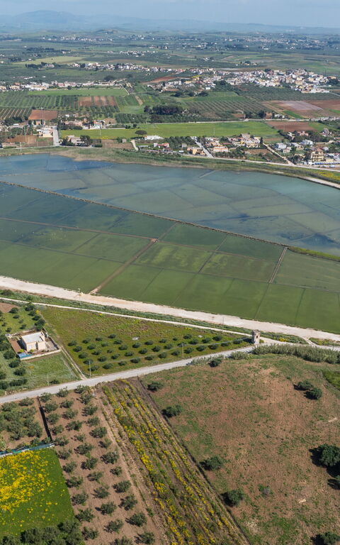 Villa Casale: Keer bekeken