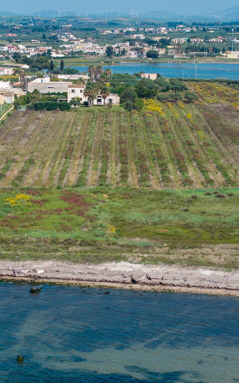 Villa Casale: Keer bekeken