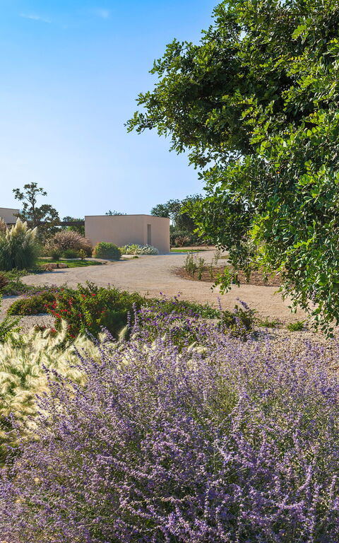 Villa Passo Salina: Tuin