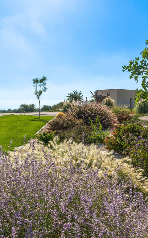 Villa Passo Salina: Tuin