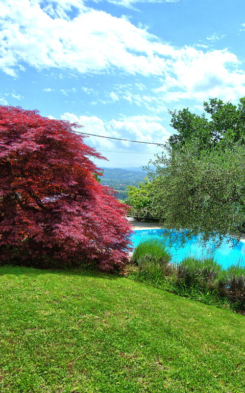 Villa Paradiso: Tuin