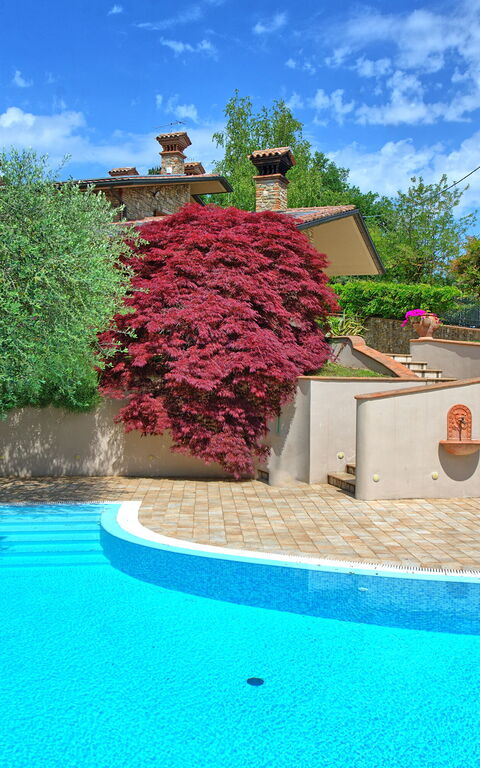 Villa Paradiso: Buitenkanten, zwembad