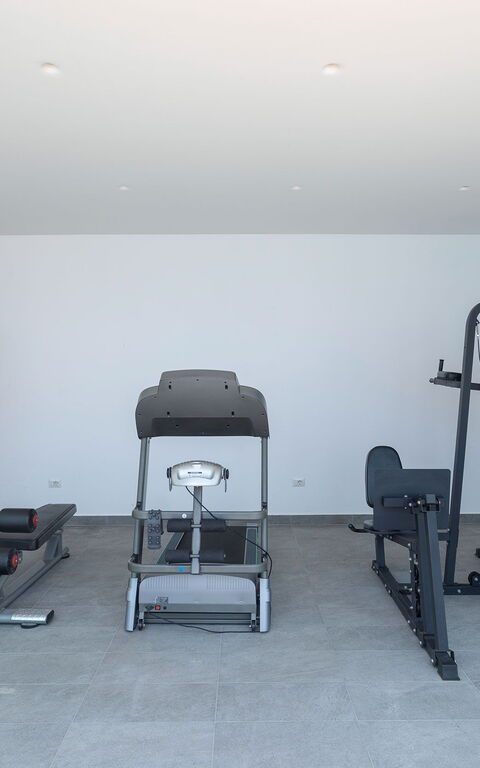 Villa Elysium: Activiteiten