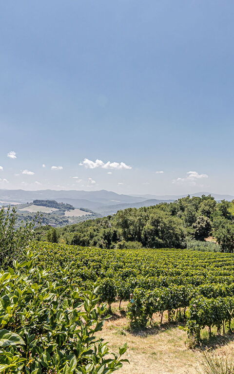 Chateau La Siroque: Buitenkanten, Buitenshuis, Keer bekeken