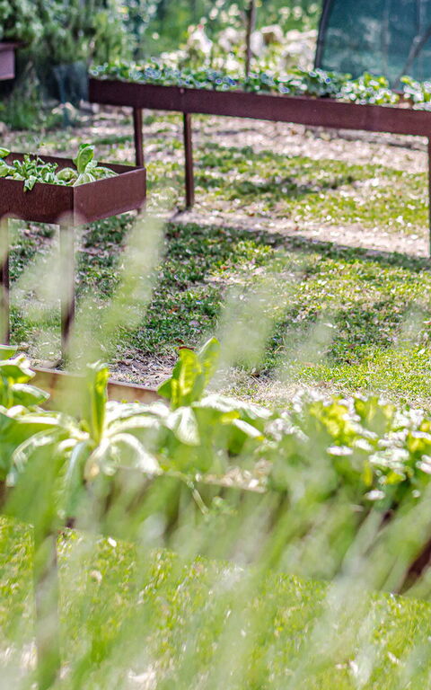 Chateau La Siroque: Buitenkanten, Buitenshuis, Tuin