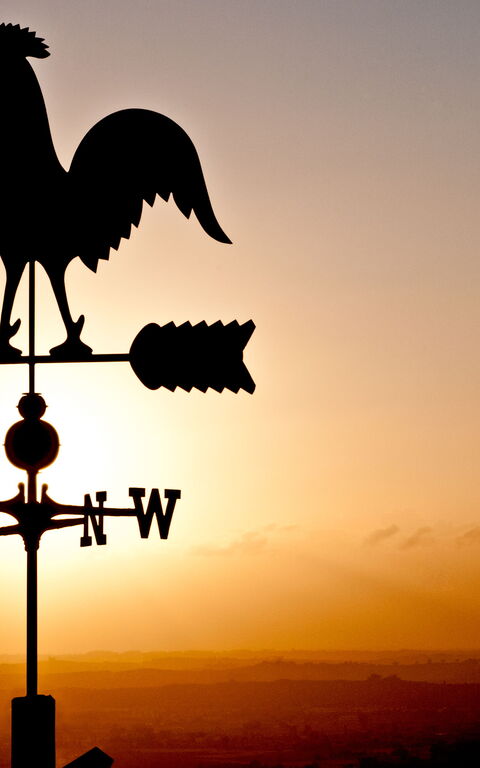 Villa Colle Di Sotto: Buitenkanten, Buitenshuis