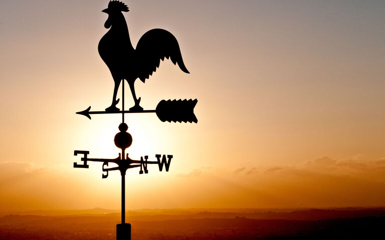 Villa Colle Di Sotto: Buitenkanten, Buitenshuis