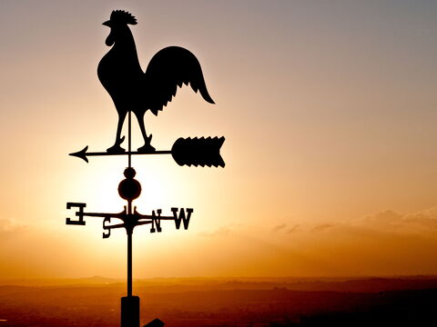 Villa Colle Di Sotto