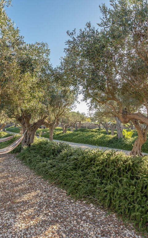 Villa Partenope: Buitenkanten, Buitenshuis, Tuin