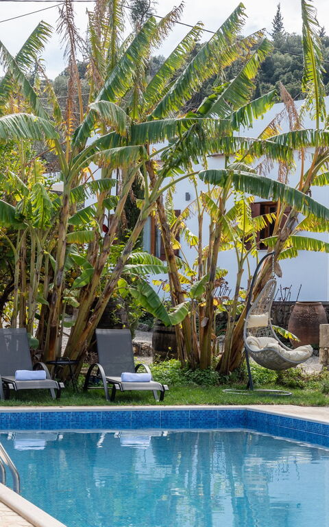 Klapas: Buitenkanten, Tuin, zwembad