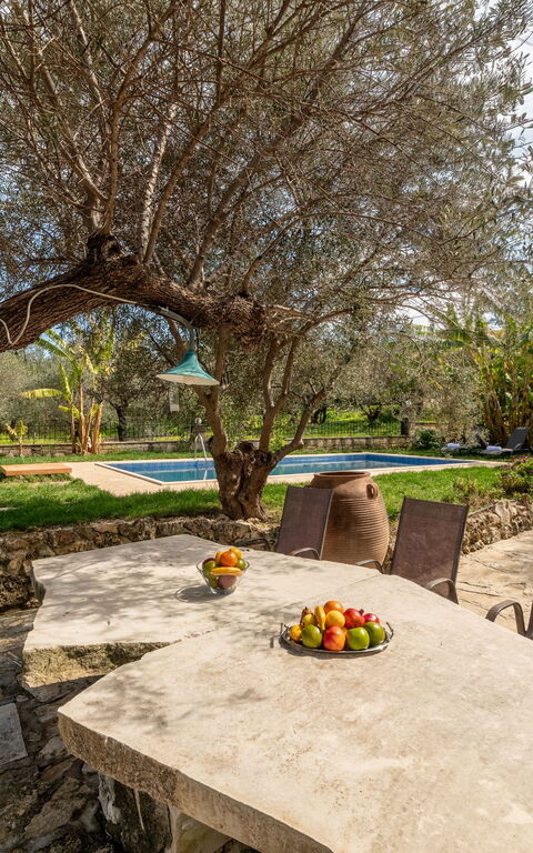 Klapas: Balkon / terras / patio, Buitenkanten, Tuin, zwembad