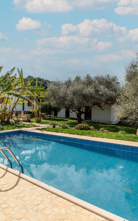 Klapas: Buitenkanten, Tuin, zwembad