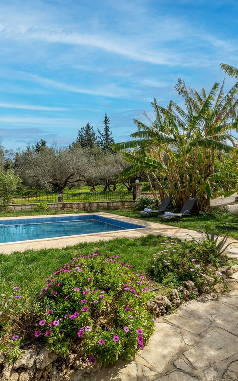 Klapas: Buitenkanten, Tuin, zwembad