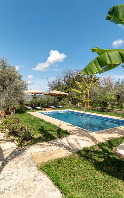 Klapas: Buitenkanten, Tuin, zwembad