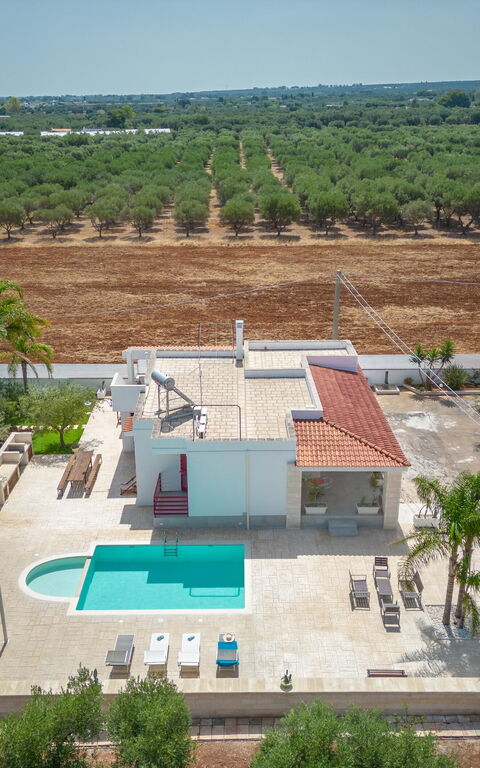 Villa Dolcevivere: Buitenkanten, Buitenshuis, Keer bekeken, Zomer, zwembad