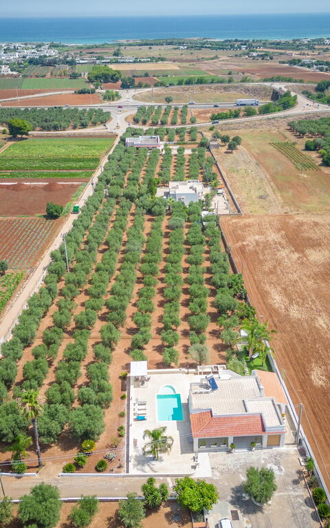 Villa Dolcevivere: Buitenkanten, Buitenshuis, Keer bekeken, Zomer