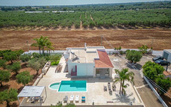 Villa Dolcevivere: Buitenkanten, Buitenshuis, Keer bekeken, Zomer, zwembad