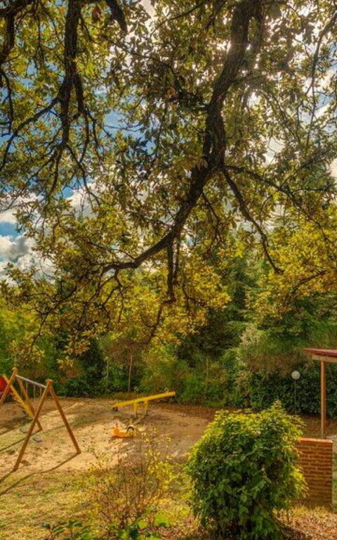 Leccino: Buitenkanten, Buitenshuis, Keer bekeken, Tuin