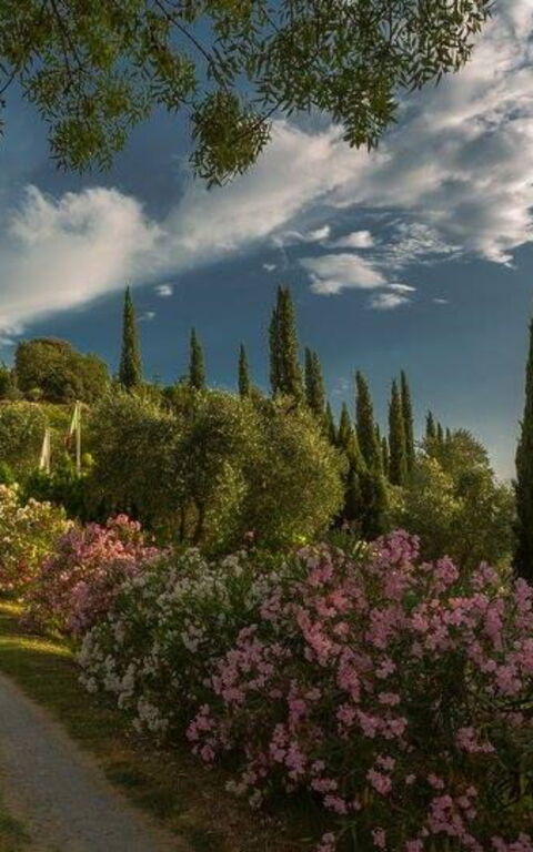 Leccino: Buitenkanten, Buitenshuis, Keer bekeken, Tuin